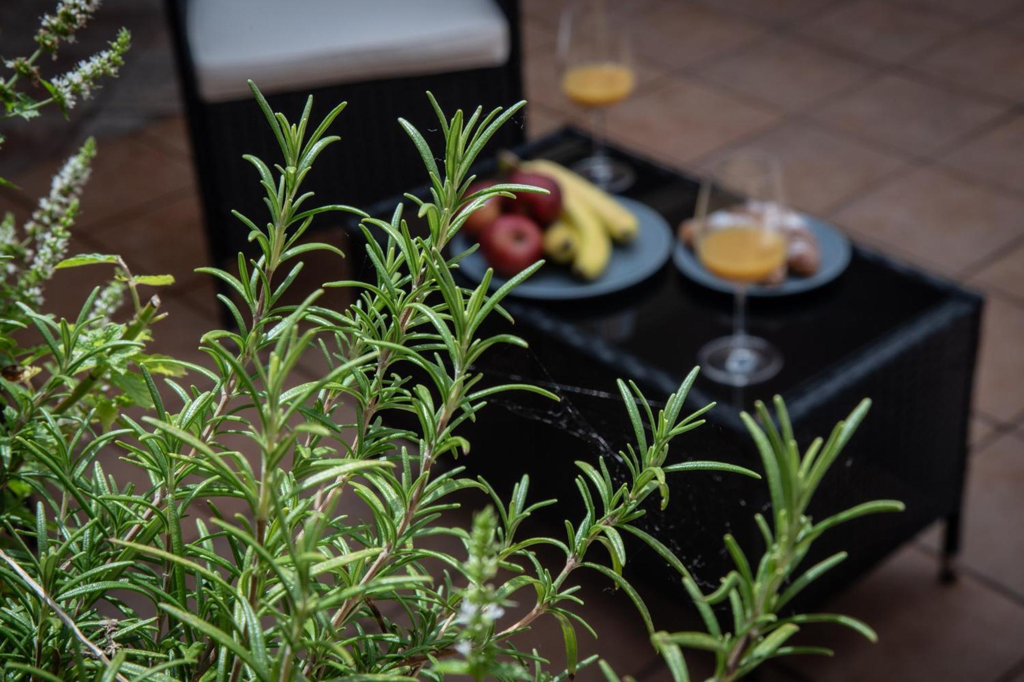 White Swan Boutique Apartments براغ المظهر الخارجي الصورة